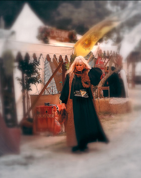 Share Starwas at the Ren Faire
